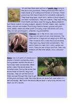 Kutatási anyagok 'Canada', 10.                