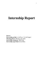 Gyakorlati jelentések 'Internship Report', 1.                