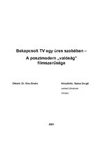 Esszék '"Bekapcsolt TV egy üres szobában" - A posztmodern valóság filmszerűsége', 1.                