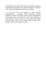 Esszék '"Bekapcsolt TV egy üres szobában" - A posztmodern valóság filmszerűsége', 5.                