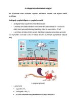 Összefoglalók, jegyzetek 'Az idegsejtek működésének alapjai', 1.                