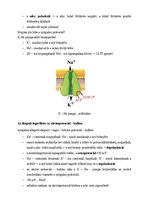 Összefoglalók, jegyzetek 'Az idegsejtek működésének alapjai', 2.                