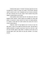 Esszék 'Report on The Baltic Times', 2.                