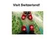 Prezentációk 'Tourism in Switzerland', 20.                