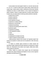 Kutatási anyagok 'Customs', 4.                