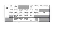 Összefoglalók, jegyzetek 'Földrajzi övezetek jellemzői', 2.                