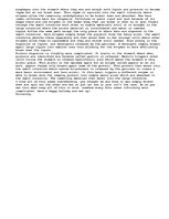 Esszék 'Lipids, Carbs and Proteins', 2.                