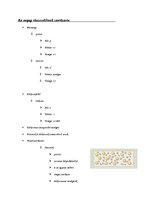 Összefoglalók, jegyzetek 'Részecskék, elektromosság', 1.                