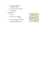 Összefoglalók, jegyzetek 'Részecskék, elektromosság', 7.                