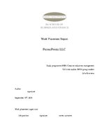 Gyakorlati jelentések 'Work Placement Report - Advertising Company', 1.                