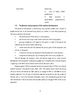 Gyakorlati jelentések 'Work Placement Report - Advertising Company', 15.                