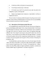 Gyakorlati jelentések 'Work Placement Report - Advertising Company', 27.                