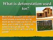 Prezentációk 'Deforestation', 6.                