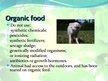 Prezentációk 'Organic Food Pros and Cons', 3.                
