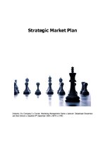 Üzleti tervek 'Strategic Marketing Plan', 1.                