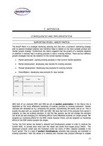 Üzleti tervek 'Strategic Marketing Plan', 17.                