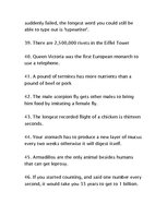 Összefoglalók, jegyzetek '86 Useless Facts', 5.                