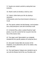 Összefoglalók, jegyzetek '86 Useless Facts', 7.                