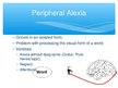 Prezentációk 'Alexia and Dyslexia', 10.                