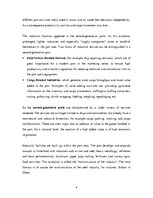 Kutatási anyagok 'Port Industrialization', 8.                