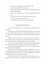 Összefoglalók, jegyzetek 'Mission Statement', 3.                