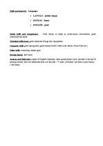 Minták 'Curriculum vitae', 3.                