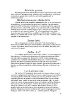 Esszék 'The Construction Process. Būvniecības process', 12.                