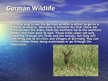 Prezentációk 'Germany', 7.                