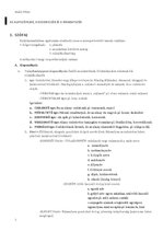 Összefoglalók, jegyzetek 'Érettségi tétel: Az alapszófajok, a viszonyszók, és a mondatszók', 1.                