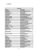 Kutatási anyagok 'Analyse Eines Businessplans auf Wort, Satz und Textbene', 19.                