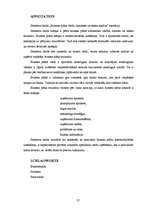 Kutatási anyagok 'Analyse Eines Businessplans auf Wort, Satz und Textbene', 27.                