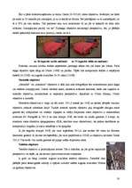 Összefoglalók, jegyzetek 'Making Photographs', 30.                