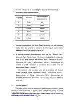 Kutatási anyagok 'Funkcjonowanie nazwisk w języku polskim', 16.                