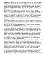 Esszék 'Jumping Bug Investigation', 2.                