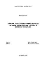 Kutatási anyagok 'Cultural Shock. The Difference Between Cultures, Traditions and Customs in Diffe', 1.                