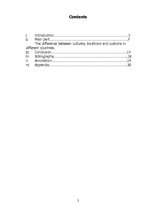 Kutatási anyagok 'Cultural Shock. The Difference Between Cultures, Traditions and Customs in Diffe', 2.                