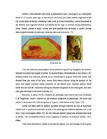 Kutatási anyagok 'The Amber Industry in Kaliningrad Region', 2.                