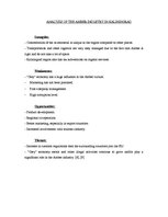 Kutatási anyagok 'The Amber Industry in Kaliningrad Region', 7.                