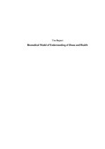 Kutatási anyagok 'Biomedical Model of Understanding of Illness and Health', 1.                
