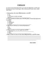 Kutatási anyagok 'Jugendrelevente Themen in der EU', 4.                