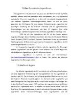 Kutatási anyagok 'Jugendrelevente Themen in der EU', 11.                