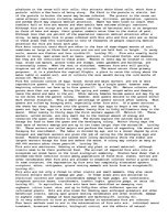 Esszék 'Fire Ants', 2.                