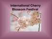 Prezentációk 'International Cherry Blossom Festival', 1.                