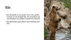 Prezentációk 'Geschützte Tiere auf der Welt', 6.                