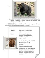 Összefoglalók, jegyzetek 'Eurasian Brown Bear', 2.                