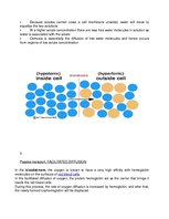 Összefoglalók, jegyzetek 'Cell Membrane Transport', 4.                