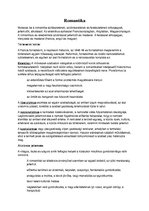 Összefoglalók, jegyzetek 'Művészettörténet Romantika', 1.                