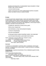 Összefoglalók, jegyzetek 'Művészettörténet Romantika', 2.                