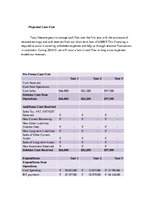 Üzleti tervek 'Ice Cream Restaurant "Tasty Freeze"', 16.                