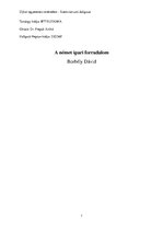 Esszék 'A német ipari forradalom a 19.században', 1.                